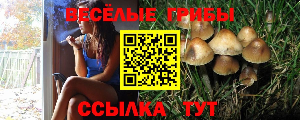 Псилоцибиновые грибы Psilocybine cubensis  Вход с VPN  Нурлат 